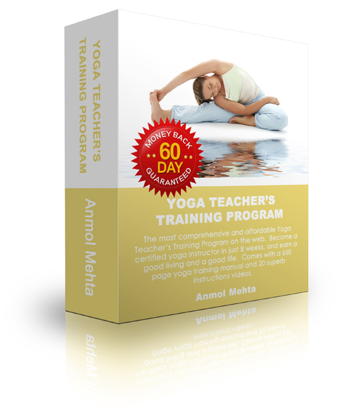 Yoga Teachers Training Program Review Learn How To Teach A Yoga