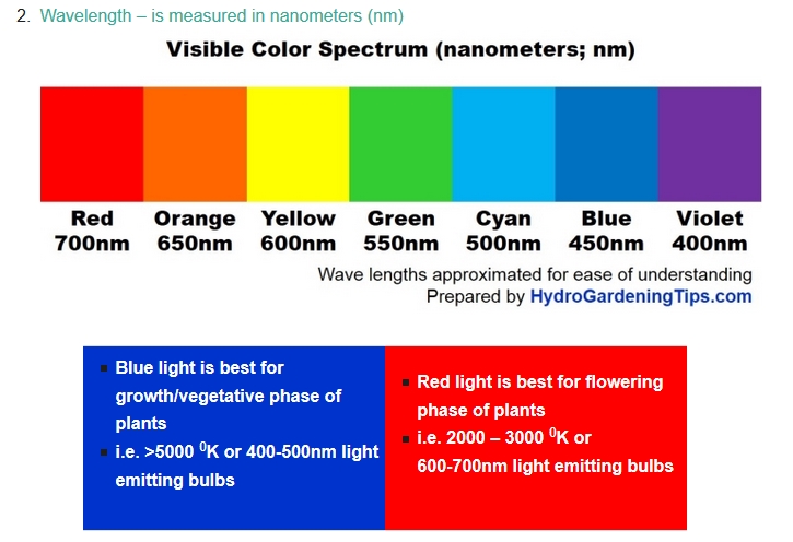 How does light color affect plant growth?   ucsb science line