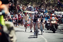 Get up close to the new pro Trek Factory Racing team with Trek Travel bike tours