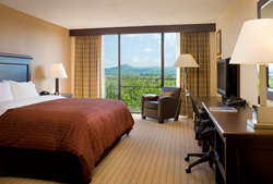 Roanoke Hotel Guestroom