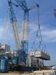 CICB Announces Upcoming OSHA Compliant Crane & Rigging Inspector...
