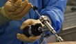 Dr. George Rappard Presents Results on Endoscopic Back Pain Treatment...
