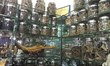 Asia Plantation Capital Engages SE Asia Academics in New Agarwood...