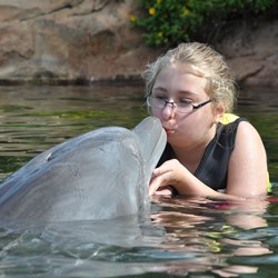 Lindsey, 10 Year Old with Heart Condition, Swims with Dolphins Because of InventHelp Donation to Make-A-Wish