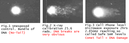 Scientists End 13 Year Debate Proving Non-ionizing RF Microwave Effect