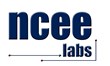 Building the Talent Pipeline at NCEE Labs with the Help of InternNE...