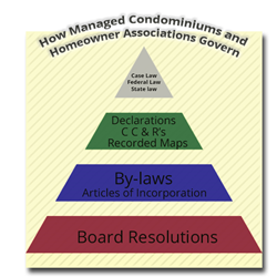 Acri Explains Association Governing Hierarchy