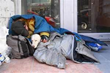 Pets of the Homeless Recruiting Collection Sites and Pet Food...