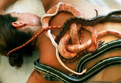 Snake Massage- Top 10 Strangest Spa Treatments