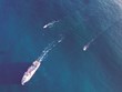 NCS Subsea Purchases Geometrics P-Cable Ultra-High-Resolution 3D...