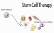 Stem Cell Replacement Therapy for Common Foot Injuries Provides Rapid...