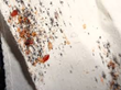 Rise of Bed Bugs Prompts Emergency Meeting in Cincinnati, My Cleaning...