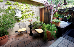 V. Sattui Artist Winery Cottage @ Mount View Hotel & Spa
