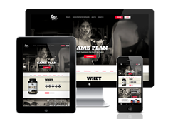 ecommerce responsive website design seattle
