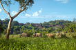 Anantara’s Positive Good Deeds Are Making a World of Difference