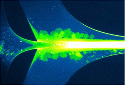 PathoGenetix, DNA stretching, microfluidic funnel