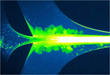 PathoGenetix to Present DNA Stretching Technology at APS Physics...