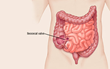 Vital Health, Inc. Provides Tips on How Diet, Supplements and...