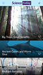 California Academy of Sciences Launches Science Today App Built by...