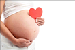 Pregnancy Miracle Review Exposes Lisa Olson's Safe and Fast...