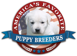 America’s Favorite Puppy Breeders