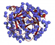 Important Health Benefits of Digestive Enzymes Released in New Report