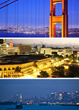 Pets Best Releases 2013 List of Most Popular States for Pet Insurance