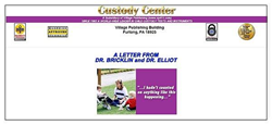 child custody strategies for women review