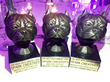 Lehigh Valley Ad Agency Spark Nabs Three “Gold Louix” Awards at 85th...