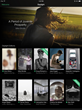 Daylight Launches Immersive Gallery-Like Experience for Contemporary...