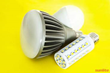 GoGreen with LED Bulbs and Lighting Fixtures by Sunlite