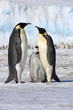 Adventure Life Announces Exclusive Rates on Antarctica Cruise