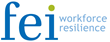 FEI Announces Collaboration with The Mandt System
