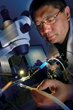 RESCUE!® Receives Patent for New, Improved Stink Bug Pheromone...