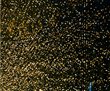 CITIZEN presents “LIGHT is TIME” - World-renowned Japanese Watches...