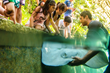 Experiencias Xcaret Park Riviera Maya Offers Unique Activities With...