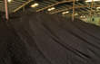 New Biomass Energy Launches Joint Venture with Solvay for Expansion of...