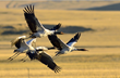 Explore Tibet Offers Customised Tibet Tours in 2014