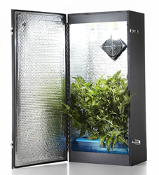 Cash Crop Open