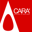 A' Car Design Awards 2014 Open for Nominations