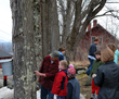 Spring Brings Return of New Hampshire Maple Experience to The Rocks...
