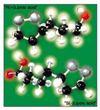 Research Study That Points to New Biological Mechanisms in Chronic...