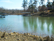 Parcels of Alabama Land Up For Auction, March 22 at Micoley.com