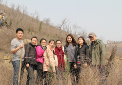 iAbrasive and Henan Hengxin Band Together for Tree Plantings