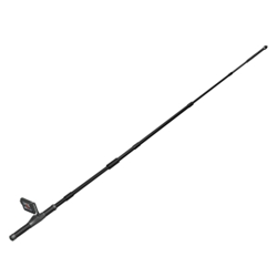 Inspection Pole Camera STRAHL