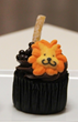 Lions, Tigers and Bears, Oh My! The Ultimate Family Getaway At The...