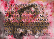 The Anne Frank Center USA Announces a New Exhibit, A la Mémoire...