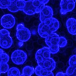 New Report Says Bladder Cancer Patients Survive Longer with...