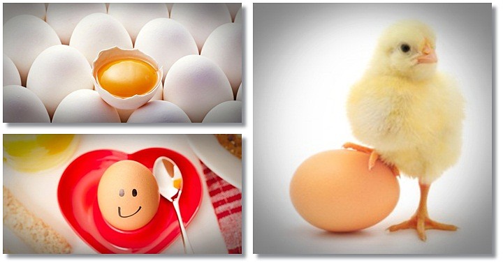 Image result for Healthy benefits of eating Egg