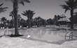 Active Video Surveillance Stops Community Pool Vandals